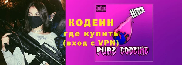 дживик Бородино