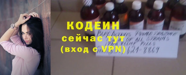дживик Бородино