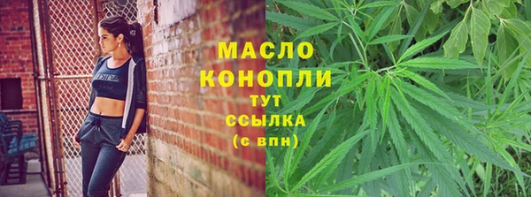 дживик Бородино