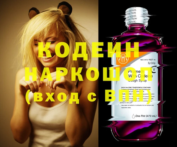 дживик Бородино