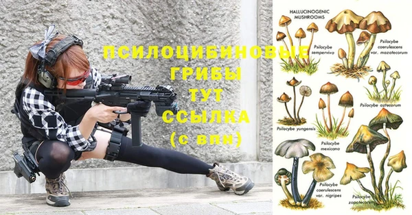 альфа пвп Бугульма