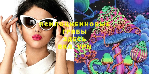 дживик Бородино
