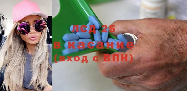 дживик Бородино