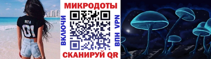 Псилоцибиновые грибы Psilocybe  Кировск 