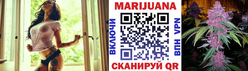МАРИХУАНА ГИДРОПОН  продажа наркотиков  Кировск 